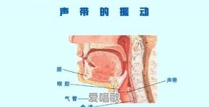 学习美声基础对唱流行歌曲有帮助吗 学习美声基础对唱流行歌曲有帮助吗 - 爱唱歌