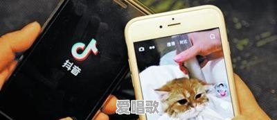 抖音你最喜欢哪个网红 抖音你最喜欢哪个网红 - 爱唱歌