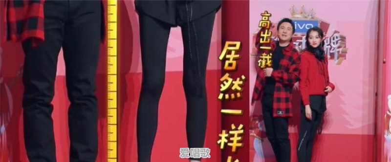 在日本是巨星级的藏族女歌手阿兰·达瓦卓玛唱功颜值都在线,为什么在中国火不起来 在日本是巨星级的藏族女歌手阿兰·达瓦卓玛唱功颜值都在线,为什么在中国火不起来 - 爱唱歌