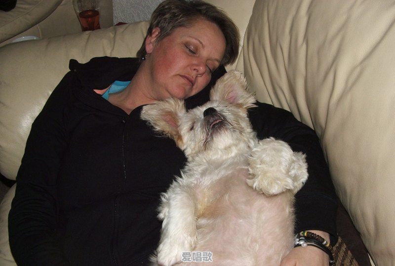 宝宝两个月大,睡觉总是突然尖叫的哭醒 宝宝两个月大,睡觉总是突然尖叫的哭醒 - 爱唱歌
