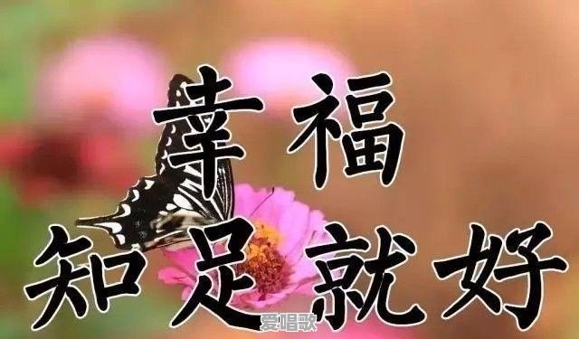 欢乐颂2:选男朋友,你要赵医生还是小包总 欢乐颂2:选男朋友,你要赵医生还是小包总 - 爱唱歌