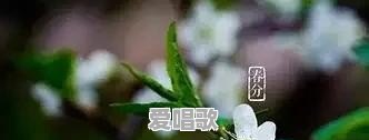 你们认为和情侣最佳的相处方式是啥?双方应该怎么做 你们认为和情侣最佳的相处方式是啥?双方应该怎么做 - 爱唱歌