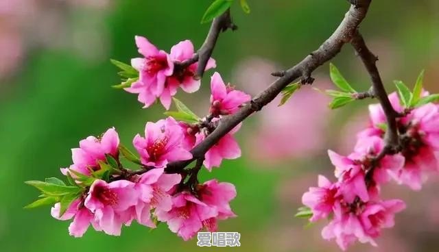 你们认为和情侣最佳的相处方式是啥?双方应该怎么做 你们认为和情侣最佳的相处方式是啥?双方应该怎么做 - 爱唱歌