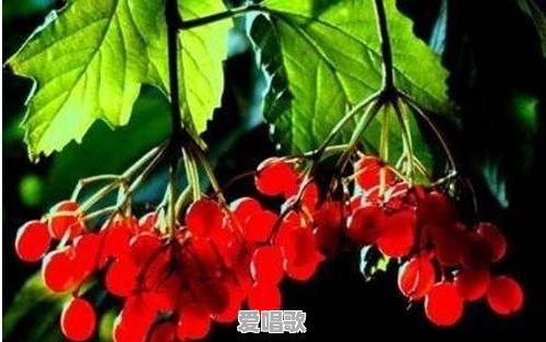 想开头的歌词 想开头的歌词 - 爱唱歌