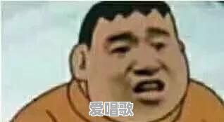 有哪些歌曲很好听，但歌词会让你一头雾水，至今不知道说的什么 - 爱唱歌