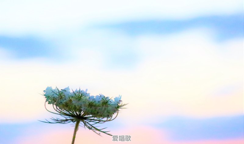 让我再爱你一次歌词 让我再爱你一次歌词 - 爱唱歌