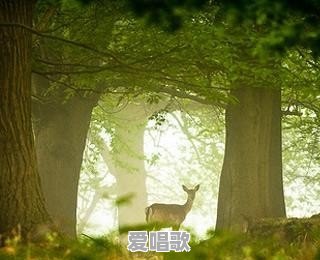 能不能推荐一些适合难过的时候听的歌 能不能推荐一些适合难过的时候听的歌 - 爱唱歌