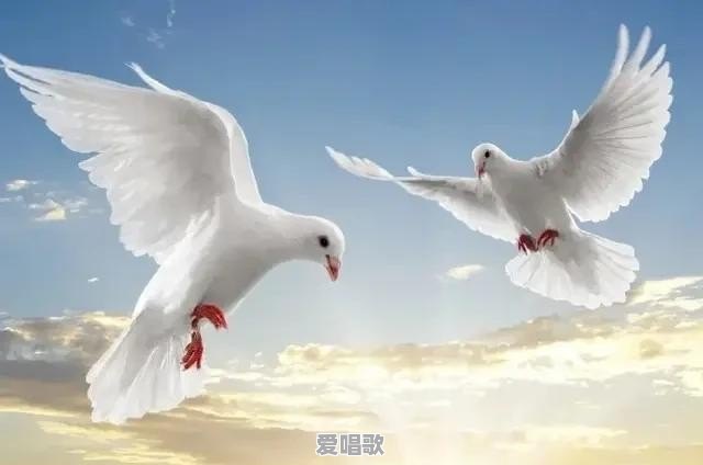为何古人说一个人走夜路,无论听见什么,都不要停下,不要回头 为何古人说一个人走夜路,无论听见什么,都不要停下,不要回头 - 爱唱歌