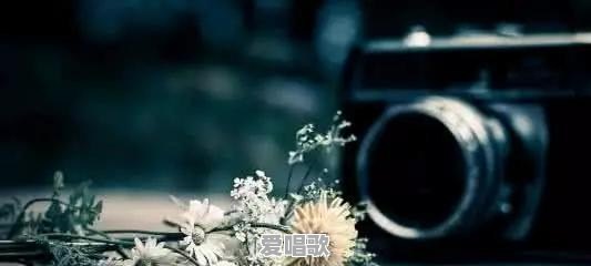 香港回归20周年,有那些歌曲陪你成长了20年!跪求大量歌曲,个人比较喜欢粤语歌 香港回归20周年,有那些歌曲陪你成长了20年!跪求大量歌曲,个人比较喜欢粤语歌 - 爱唱歌