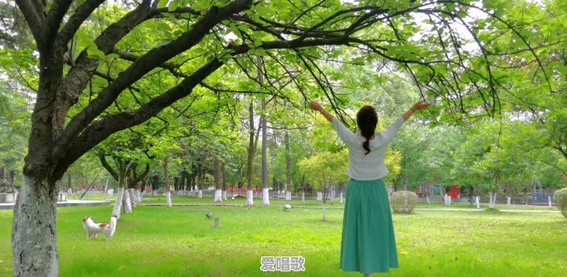 烫头染发流行音乐 烫头染发流行音乐 - 爱唱歌