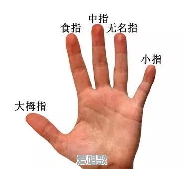 在宾馆里和陌生人拼房，是什么感觉 - 爱唱歌