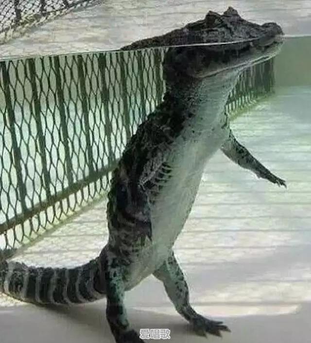 在宾馆里和陌生人拼房，是什么感觉 - 爱唱歌