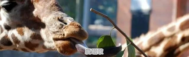在宾馆里和陌生人拼房，是什么感觉 - 爱唱歌
