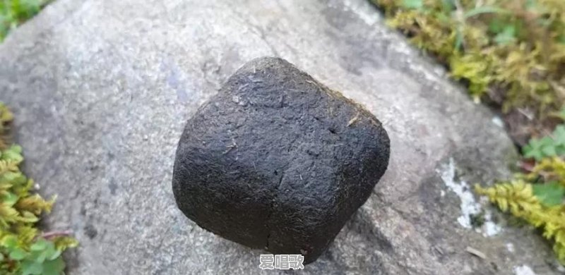 在宾馆里和陌生人拼房，是什么感觉 - 爱唱歌