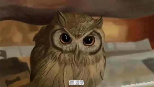 在宾馆里和陌生人拼房，是什么感觉 - 爱唱歌