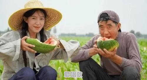 你们最欣赏哪位网红 你们最欣赏哪位网红 - 爱唱歌
