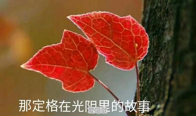 周杰伦的新歌《说好不哭》让你想起了谁 周杰伦的新歌《说好不哭》让你想起了谁 - 爱唱歌