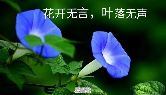 周杰伦的新歌《说好不哭》让你想起了谁 周杰伦的新歌《说好不哭》让你想起了谁 - 爱唱歌