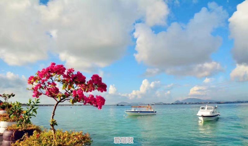 为什么古典音乐是现场效果更好,而流行音乐是唱片效果更好呢 为什么古典音乐是现场效果更好,而流行音乐是唱片效果更好呢 - 爱唱歌