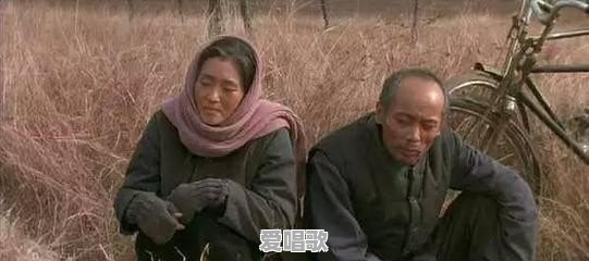 国内现当代文学作品从小说改编成电影，写毕业论文，有没有好的推荐 - 爱唱歌