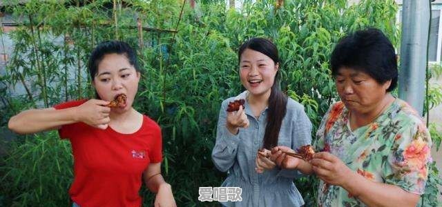 自媒体人“乡村小乔”为什么会成功,成功的背后又付出了什么 自媒体人“乡村小乔”为什么会成功,成功的背后又付出了什么 - 爱唱歌