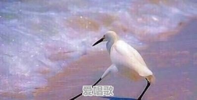 片名很烂,让你曾经错过的好电影有哪些 片名很烂,让你曾经错过的好电影有哪些 - 爱唱歌