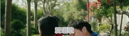 片名很烂,让你曾经错过的好电影有哪些 片名很烂,让你曾经错过的好电影有哪些 - 爱唱歌