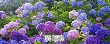 为什么有些人年级越大越钟爱老歌 为什么有些人年级越大越钟爱老歌 - 爱唱歌