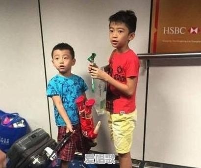 张柏芝和王菲的区别是什么 张柏芝和王菲的区别是什么 - 爱唱歌
