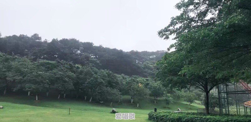 张柏芝和王菲的区别是什么 张柏芝和王菲的区别是什么 - 爱唱歌