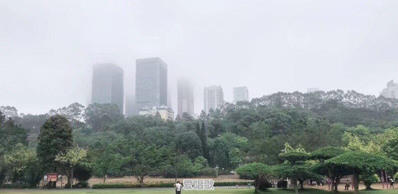 张柏芝和王菲的区别是什么 张柏芝和王菲的区别是什么 - 爱唱歌