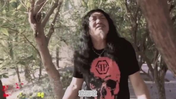 如何评价综艺《舞蹈风暴》 如何评价综艺《舞蹈风暴》 - 爱唱歌