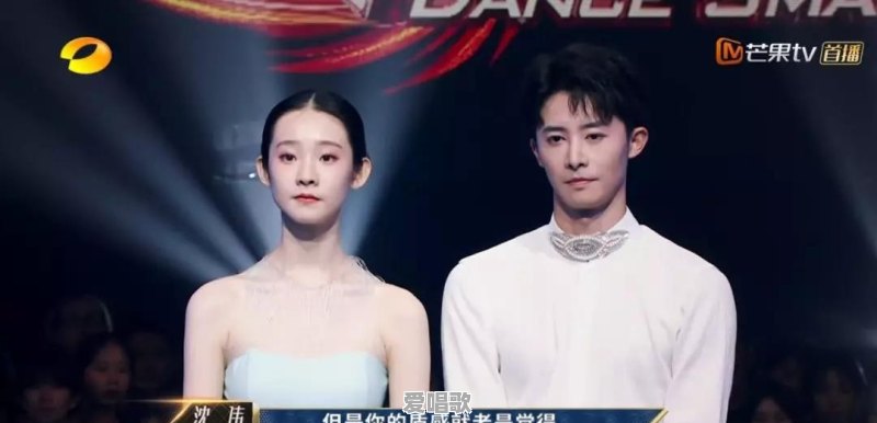 如何评价综艺《舞蹈风暴》 如何评价综艺《舞蹈风暴》 - 爱唱歌