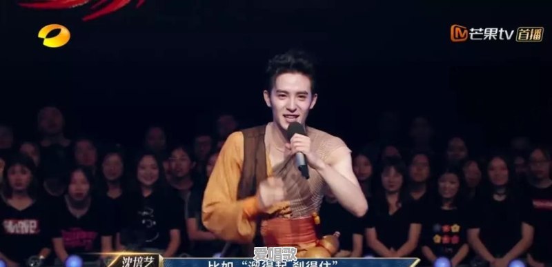 如何评价综艺《舞蹈风暴》 如何评价综艺《舞蹈风暴》 - 爱唱歌