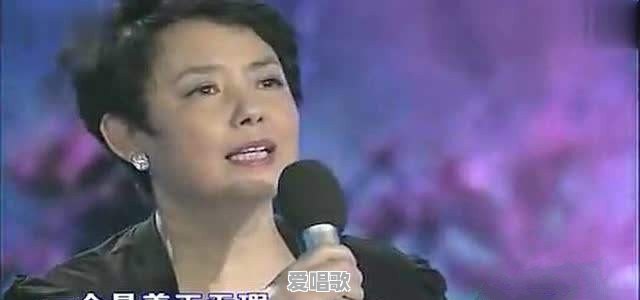 哪些好听的,根据古诗词文改编的歌曲,类似《琵琶行》这种的 哪些好听的,根据古诗词文改编的歌曲,类似《琵琶行》这种的 - 爱唱歌