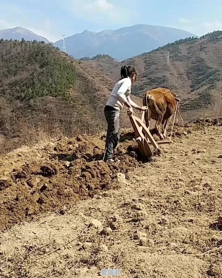 为什么农村忽然冒出很多村花孝女且白白净净？农村条件这么好了吗 - 爱唱歌