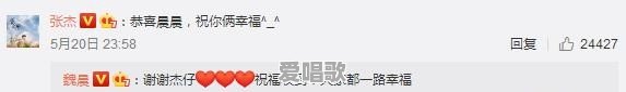 为什么说魏晨官宣结婚从祝福中能折射与快男的关系 为什么说魏晨官宣结婚从祝福中能折射与快男的关系 - 爱唱歌