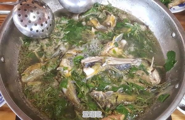 “美食”用你的家乡话怎么说 “美食”用你的家乡话怎么说 - 爱唱歌