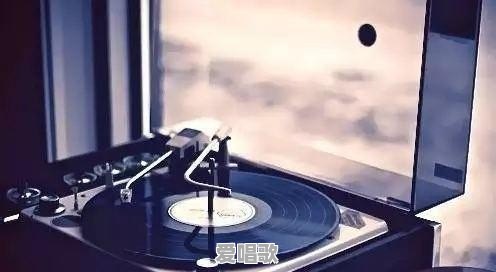 你认为黑胶唱片和CD哪个音质好听些?为什么 你认为黑胶唱片和CD哪个音质好听些?为什么 - 爱唱歌