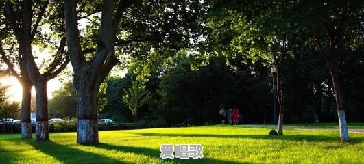 什么叫用气息唱歌,难道不会唱的人不是在用气息唱吗?不用气息,声带它也不能发声啊。谢谢 什么叫用气息唱歌,难道不会唱的人不是在用气息唱吗?不用气息,声带它也不能发声啊。谢谢 - 爱唱歌