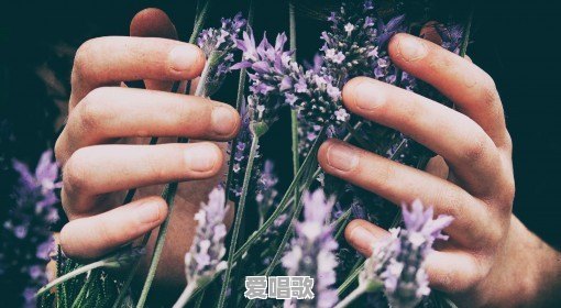 女子深陷丧夫之痛,开车入江欲自杀,你怎么看这女子 女子深陷丧夫之痛,开车入江欲自杀,你怎么看这女子 - 爱唱歌