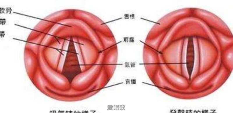 超级人类唱歌技巧视频 超级人类唱歌技巧视频 - 爱唱歌