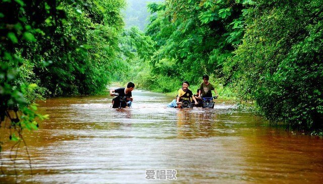 为什么六七十年代的农村,人们给孩子起名字都叫:狗剩,铁蛋 为什么六七十年代的农村,人们给孩子起名字都叫:狗剩,铁蛋 - 爱唱歌