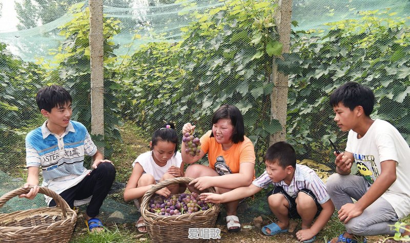为什么六七十年代的农村,人们给孩子起名字都叫:狗剩,铁蛋 为什么六七十年代的农村,人们给孩子起名字都叫:狗剩,铁蛋 - 爱唱歌