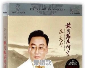孤独好听的网络歌曲 孤独好听的网络歌曲 - 爱唱歌
