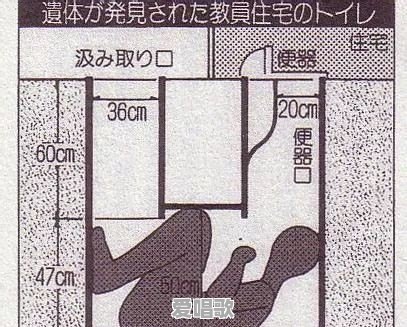 450年前的流行歌曲大全 - 爱唱歌