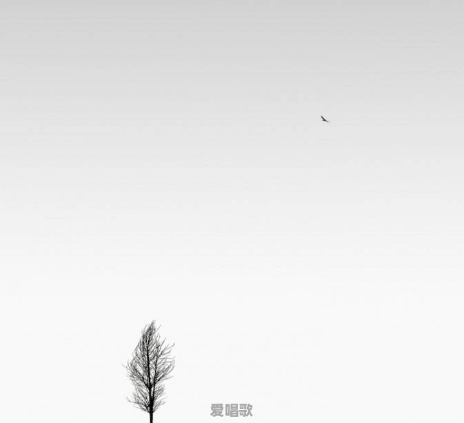 极简摄影怎么拍好呢 极简摄影怎么拍好呢 - 爱唱歌