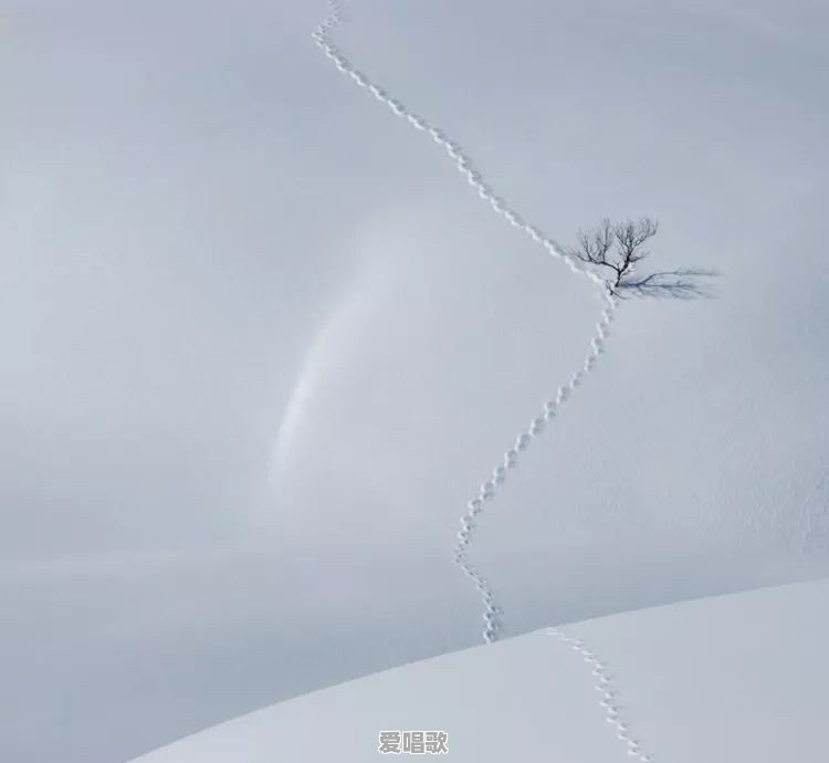 极简摄影怎么拍好呢 极简摄影怎么拍好呢 - 爱唱歌