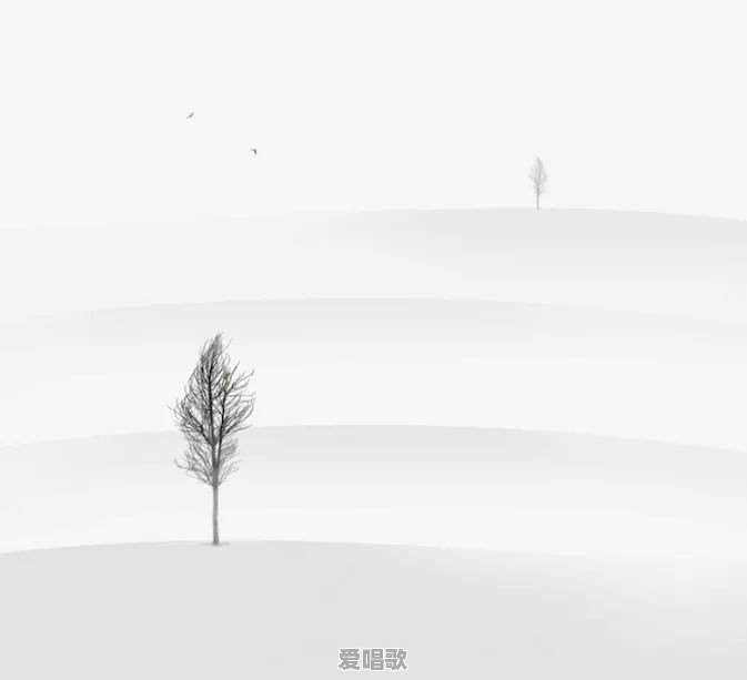 极简摄影怎么拍好呢 极简摄影怎么拍好呢 - 爱唱歌