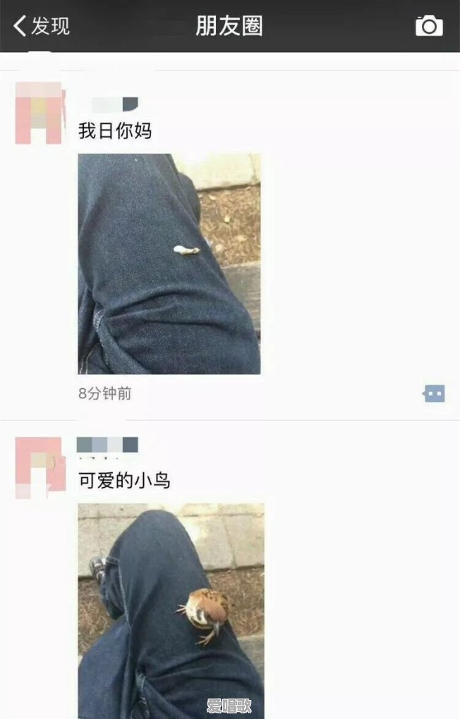 为什么广东人用生鸡祭祀,而我们广西用阉鸡祭祀?是这样吗 为什么广东人用生鸡祭祀,而我们广西用阉鸡祭祀?是这样吗 - 爱唱歌